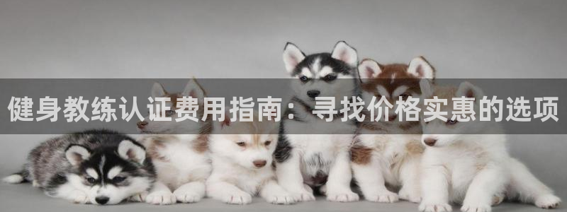 龙八国际下载官网平台