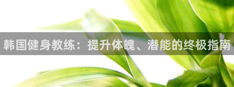 龙8国际long123