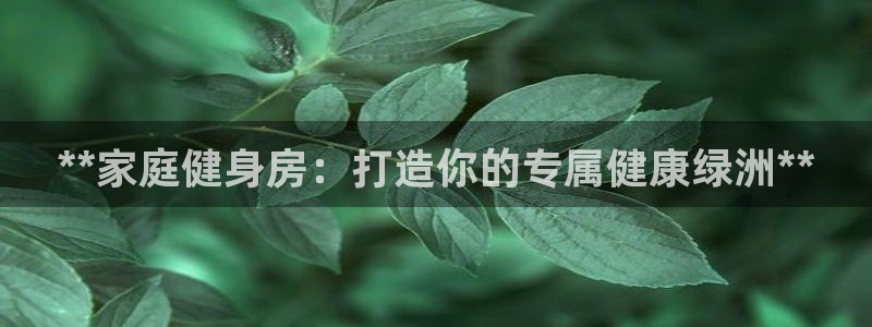 龙8国际long8