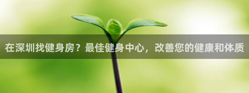 龙八国际娱乐网页多少