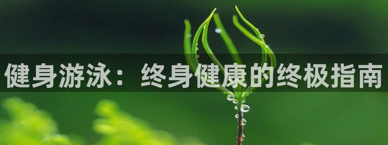 龙8国际app下载客户端