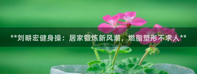 龙8棋牌官网
