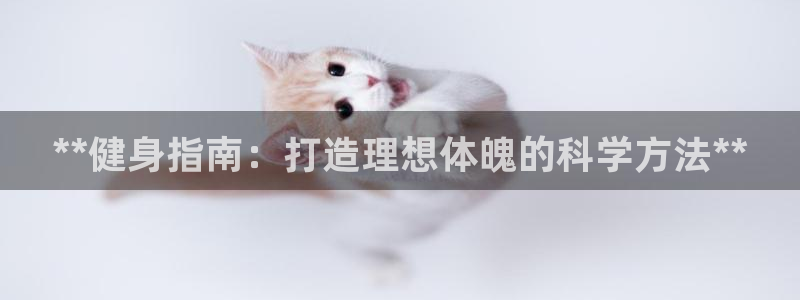 龙8国际官网点此进入游戏
