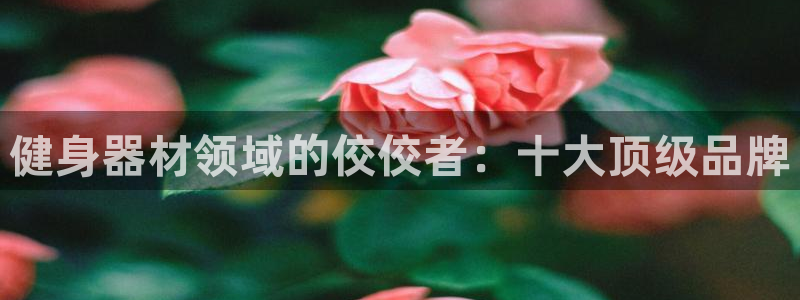 龙八国际下载官网平台