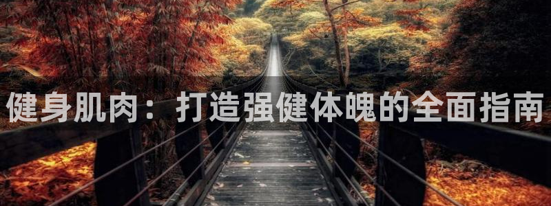 龙8国际.apk