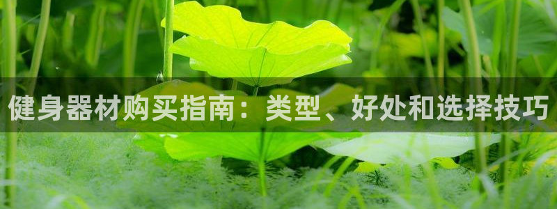 龙8国际会员注册