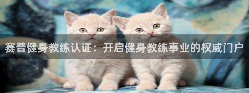 龙八棋牌