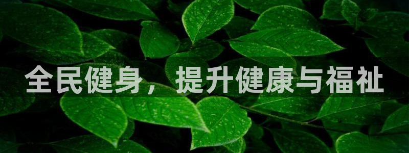 龙8国际网页版