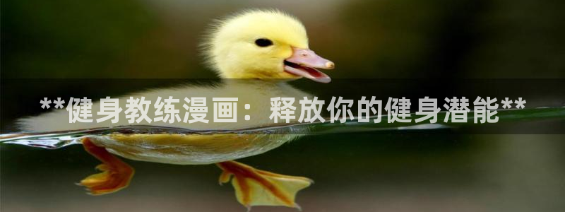 龙八国际服官网站