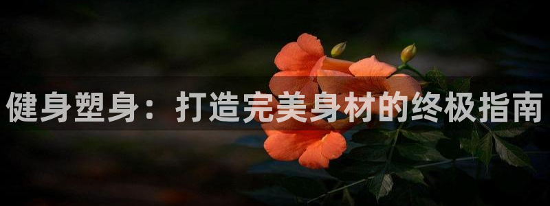 龙8国际官方网站