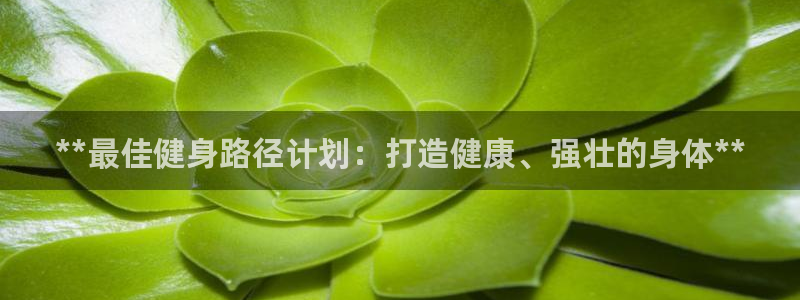 龙8国际头号玩家下载