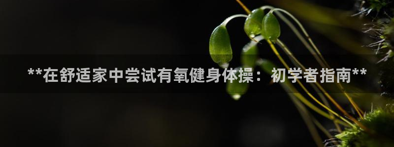 龙8国际试玩