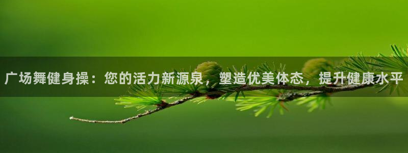 龙8国际官网登录口