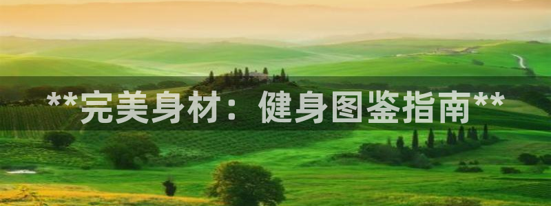 龙八国际下载链接