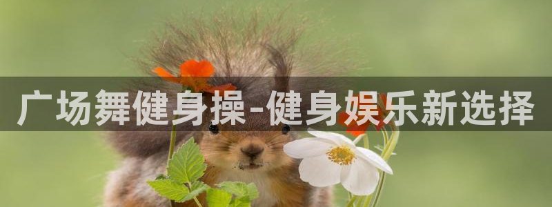 龙8国际网站怎么样