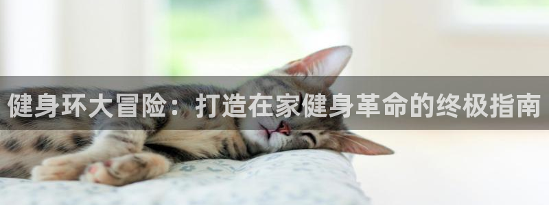 龙8国际官网首页