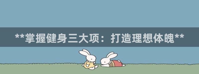 龙8国际游资如何