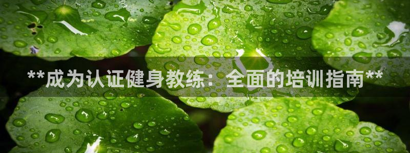 龙8国际手机版
