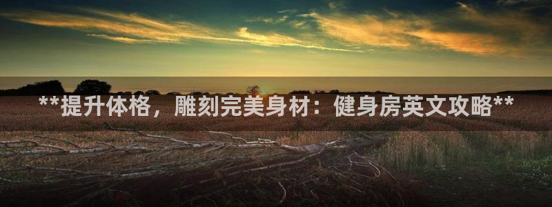 龙八国际城