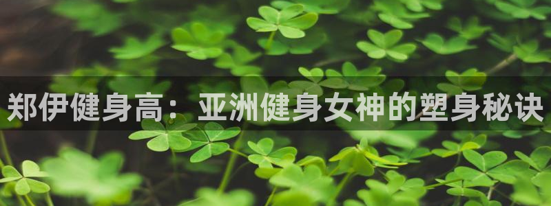龙8国际官网 点此进入游戏