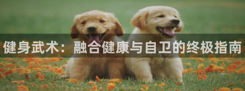 龙八国际登录密码