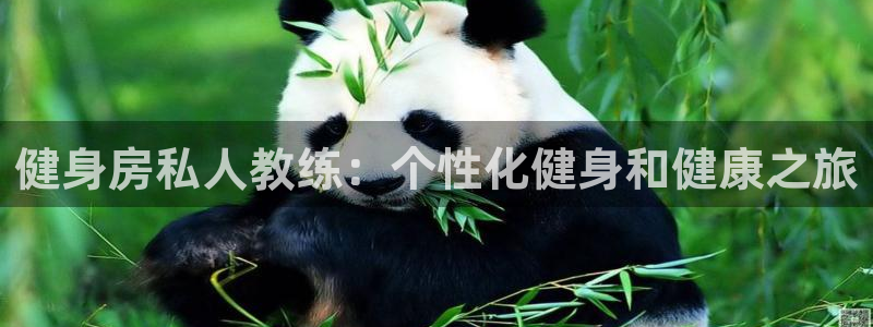 龙8游戏入口