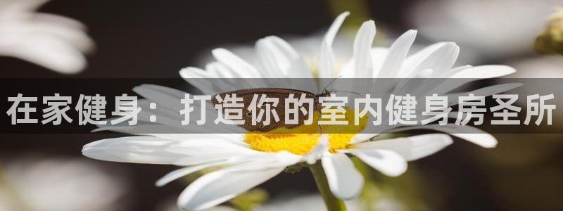 龙8国际手机版app