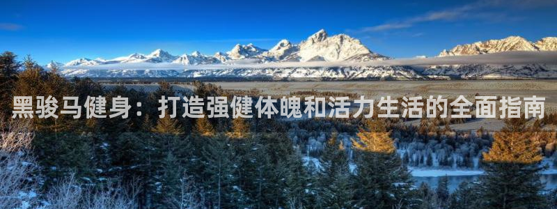 龙8国际官方网站龙8国际pt老虎机