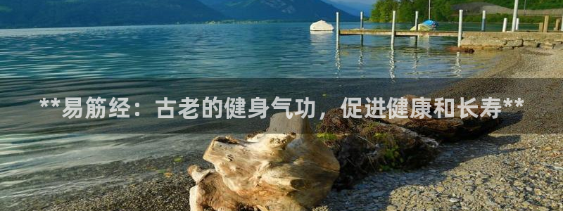 龙8国际提现