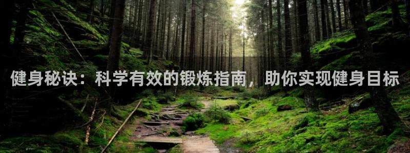 龙八国际手机在线登录