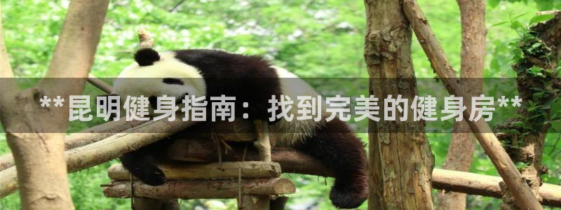 龙8国际平台输了多少