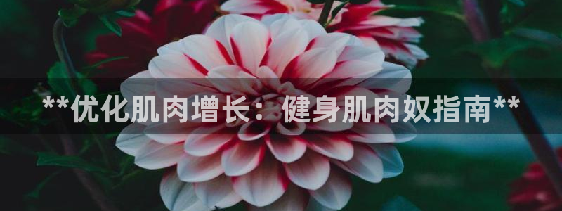 龙8国际欢迎您