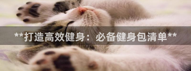 龙8国际手机版