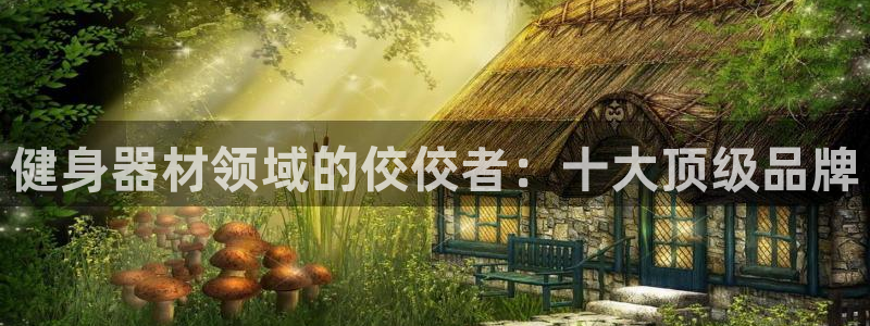 龙8国际网页登录