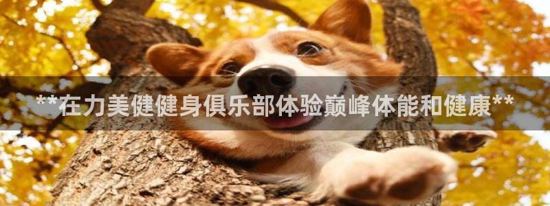 龙8国际long88(中国)官方网站
