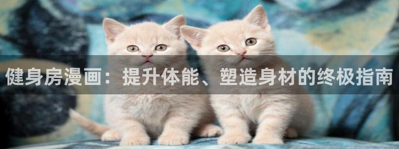 龙8国际官网版最新版下载