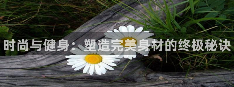 龙8游戏官方网站登录