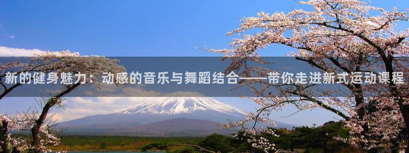 龙8国际总代理