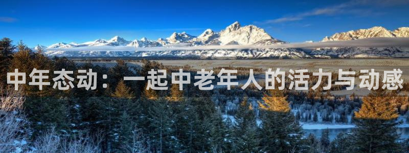 龙8app 国际