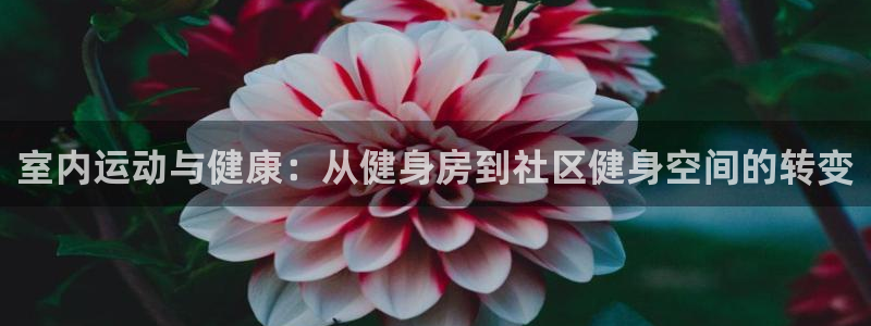 龙8国际pt网址官方
