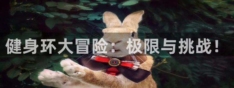 下载龙八国际