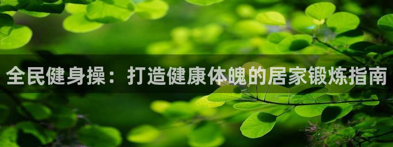 龙8国际pt官方网址