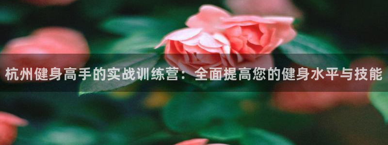 龙8国际版