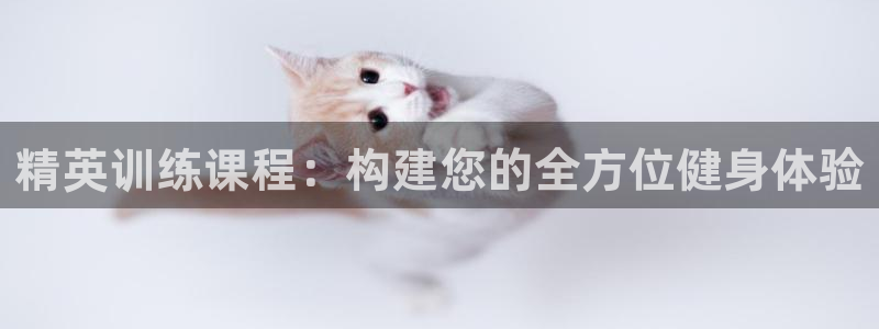 龙8国际登陆