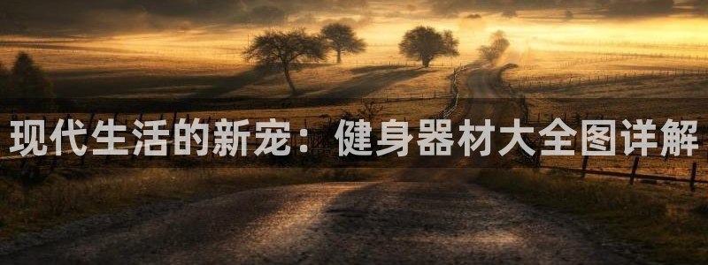 龙8国际平台输了多少