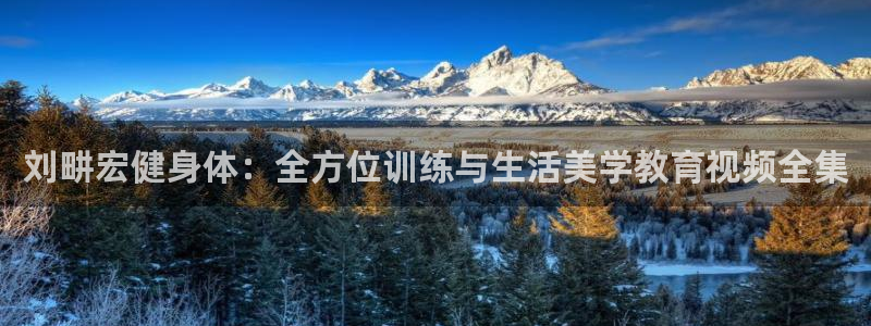 龙8国际玩家