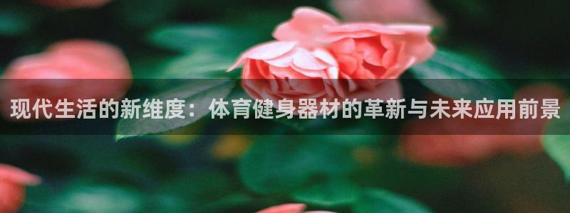 龙8国际网页版下载