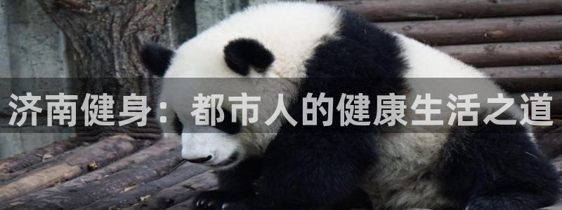 龙8国际pt客户端下载