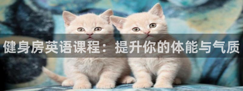 龙八国际网页