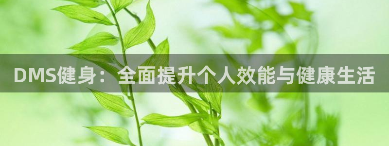 龙8国际会员注册